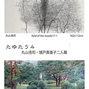 丸山浩司／城戸真亜子二人展 たゆたう４