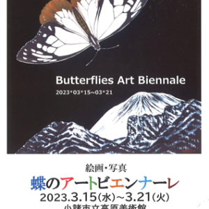 蝶のアートビエンナーレ
