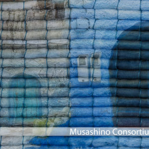 Fifth Annual Exhibition Musashino Consortium 2023