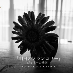 『明日のメランコリー』- ジャネーの法則 – 矢嶋 裕美子 | 写真展